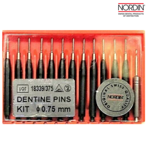 Nordin Amalgam Titanium Dentine Pins Refill, 0.75mm - Image 1