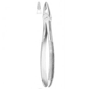 Upper Anterior Forceps - Image 1