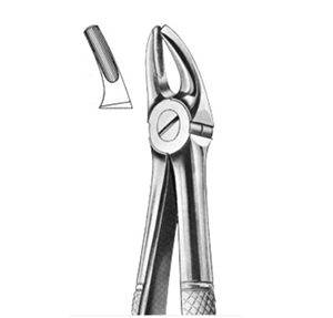 Upper Premolar Forceps - Image 1