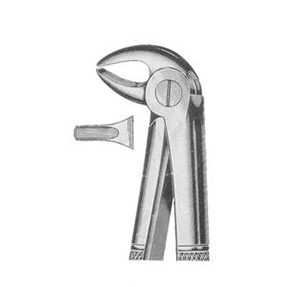 Lower Premolar Forceps - Image 1