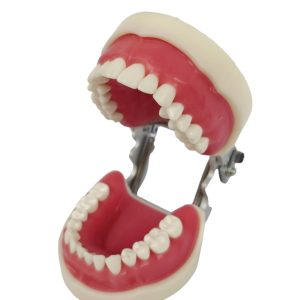 Banna Soft Gingiva Compatible With Nissan Cast MH-02 - Image 1