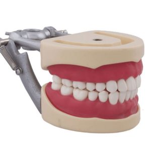 Banna Soft Gingiva Compatible With Nissan Cast MH-02 - Image 2