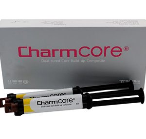 Charm Dual Cure Core Build Up - Image 1