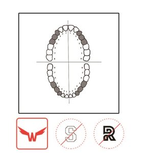 KSK Clamp 1 - Image 2