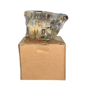 Education Transparent Cast With nerve - Image 1