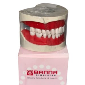 Cast Banna With Hard Teeth - Image 1