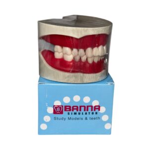 Cast Banna With Extra Hard Teeth - Image 1