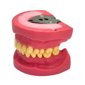 Cast Banna Model Copy Magnatic - Image 1